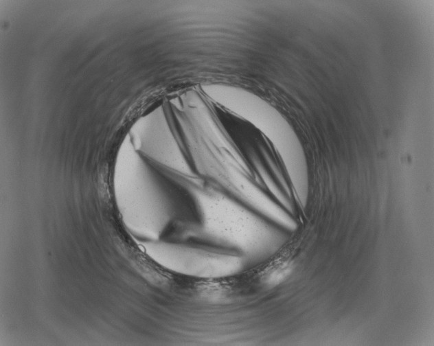 X0000079580616200612221432