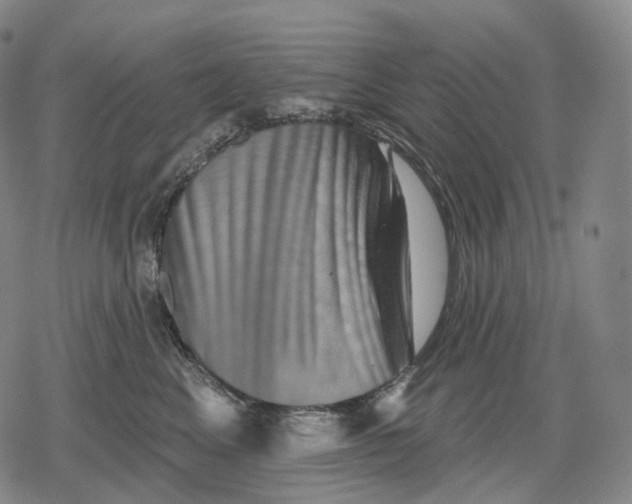 X0000079580617200612221432