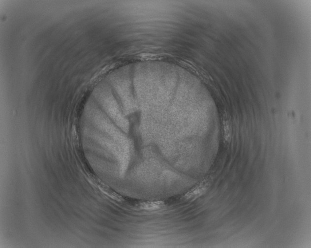 X0000079580618200612221432