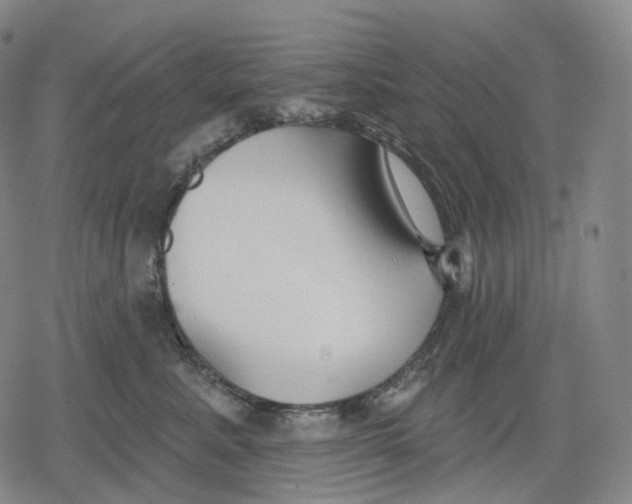 X0000079580619200612221432