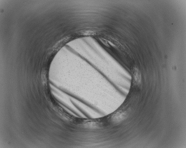 X0000079580620200612221432