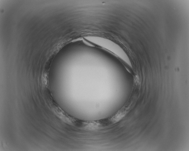 X0000079580621200612221432