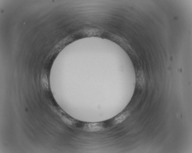 X0000079580622200612221432