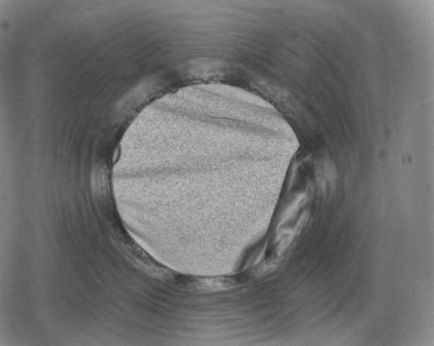 X0000079580623200612221432