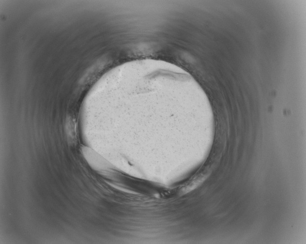 X0000079580624200612221432