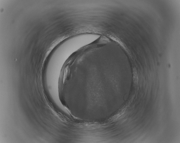 X0000079580626200612221431