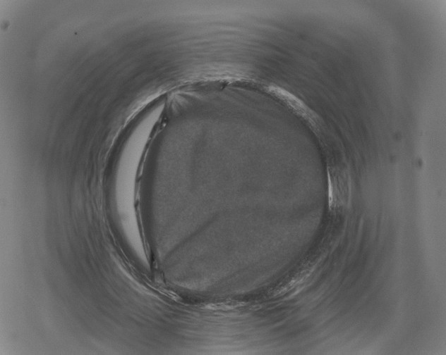 X0000079580627200612221431