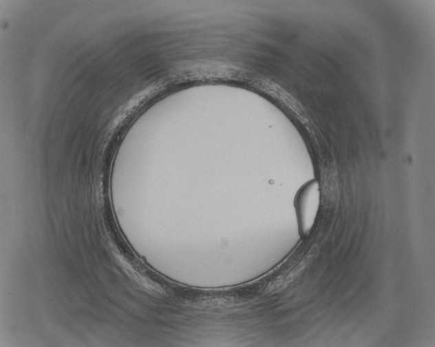 X0000079580629200612221431