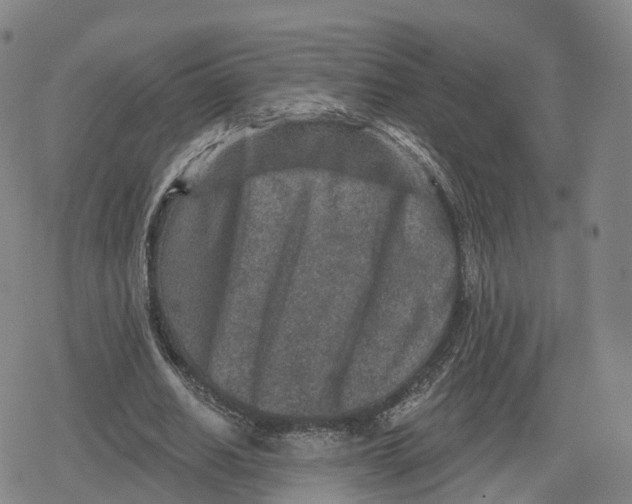 X0000079580630200612221431