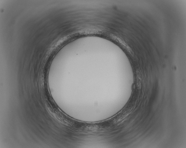 X0000079580631200612221431