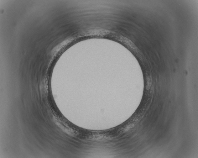 X0000079580632200612221431