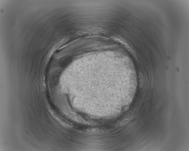 X0000079580634200612221431