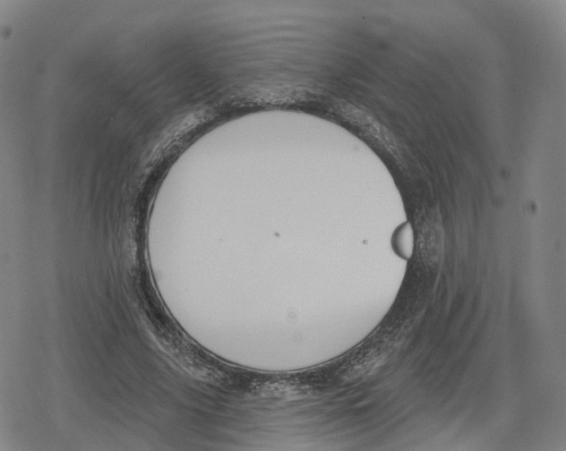 X0000079580635200612221431