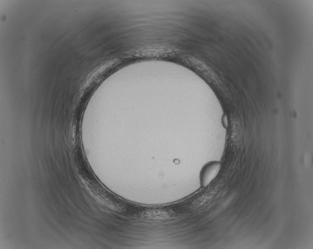 X0000079580636200612221431