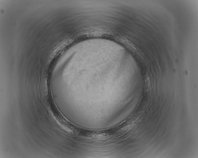 X0000079580638200612221431