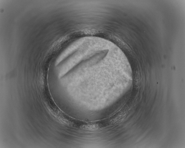 X0000079580639200612221431