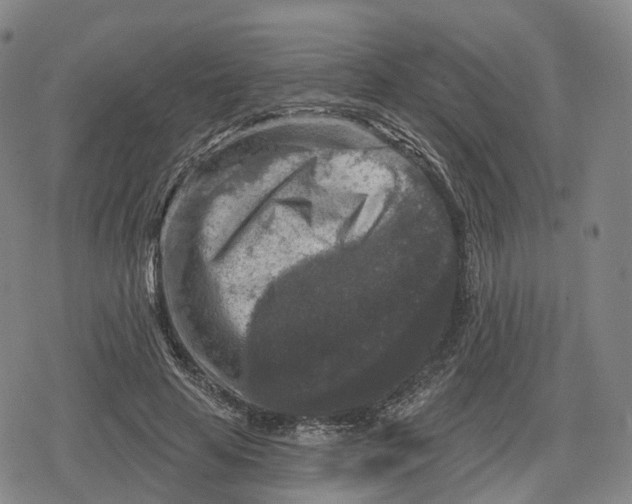 X0000079580641200612221431