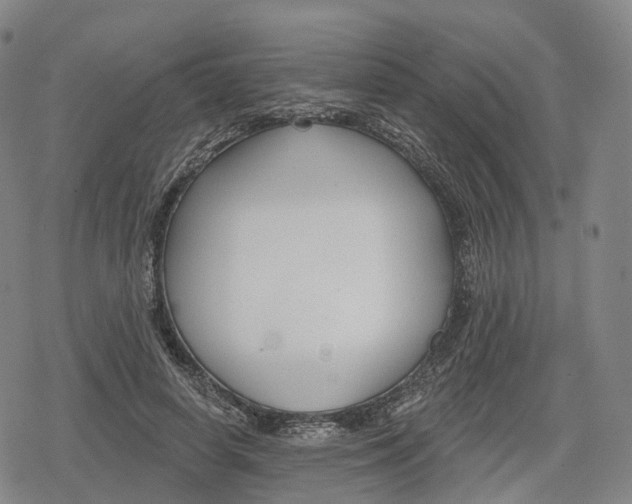 X0000079580642200612221431