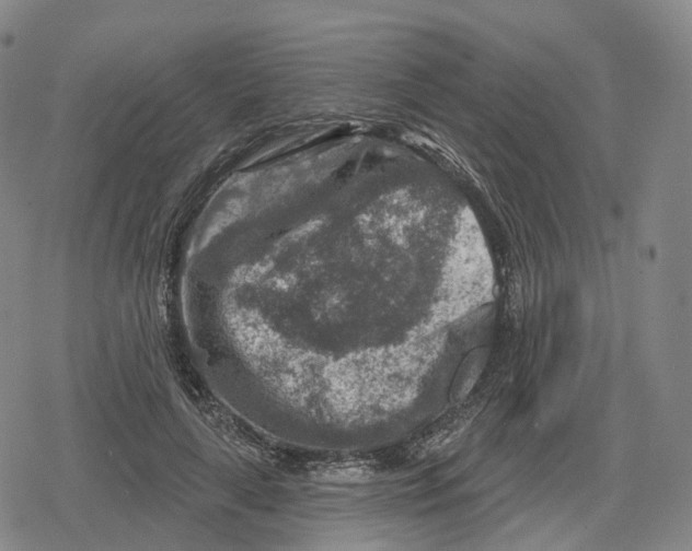 X0000079580643200612221431