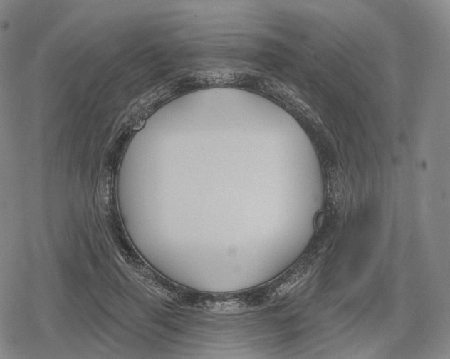 X0000079580645200612221431