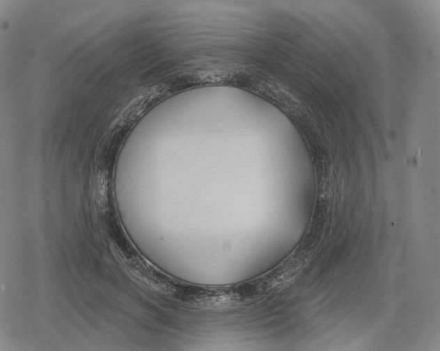 X0000079580646200612221432