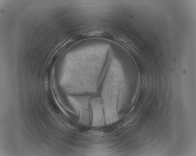 X0000079580648200612221432