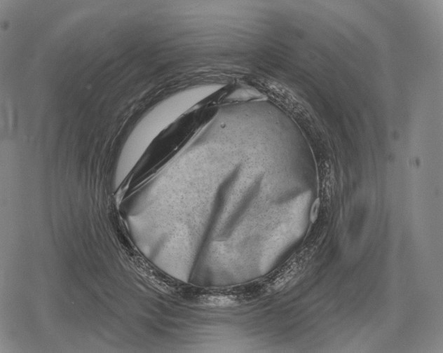 X0000079580649200612221432