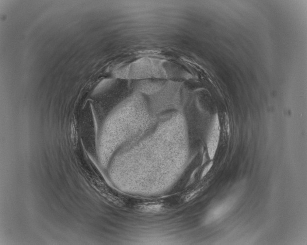 X0000079580651200612221432