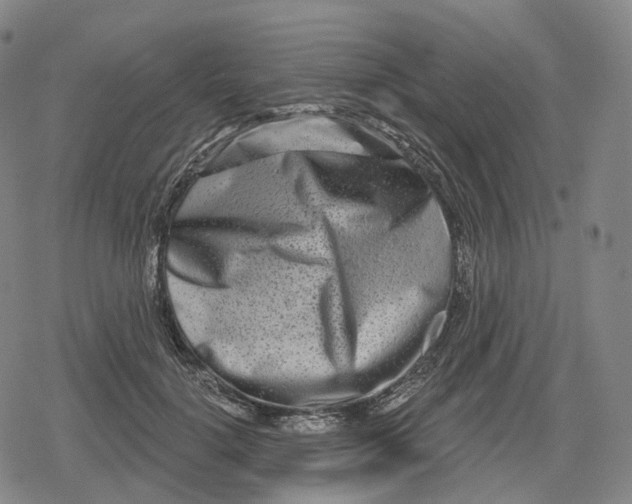 X0000079580652200612221432