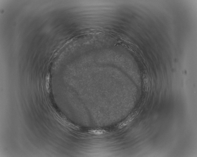 X0000079580654200612221432