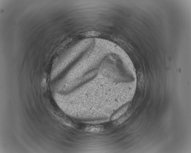 X0000079580655200612221432