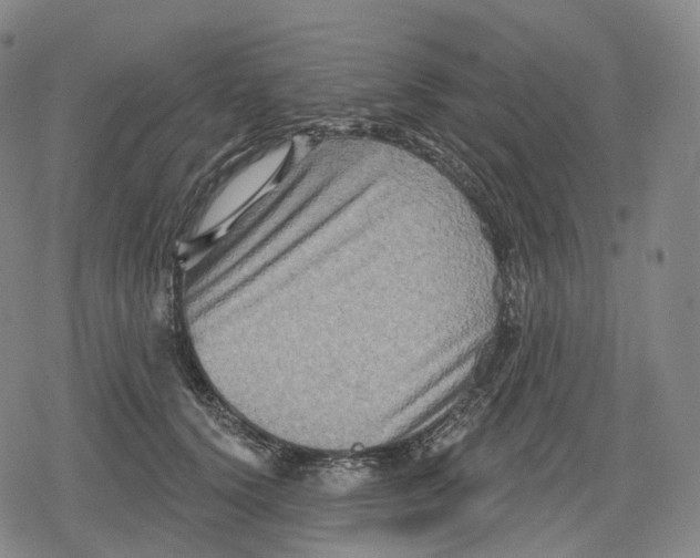 X0000079580656200612221432