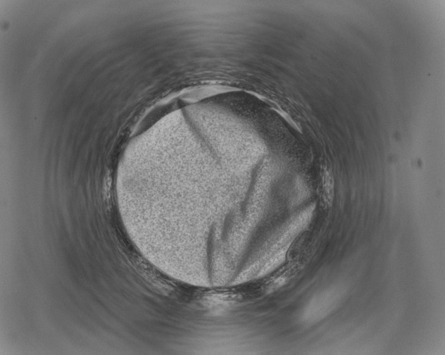 X0000079580657200612221432