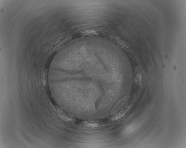 X0000079580658200612221432