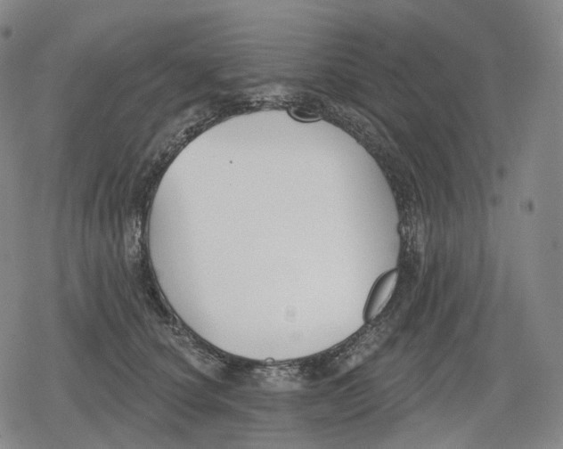 X0000079580660200612221432