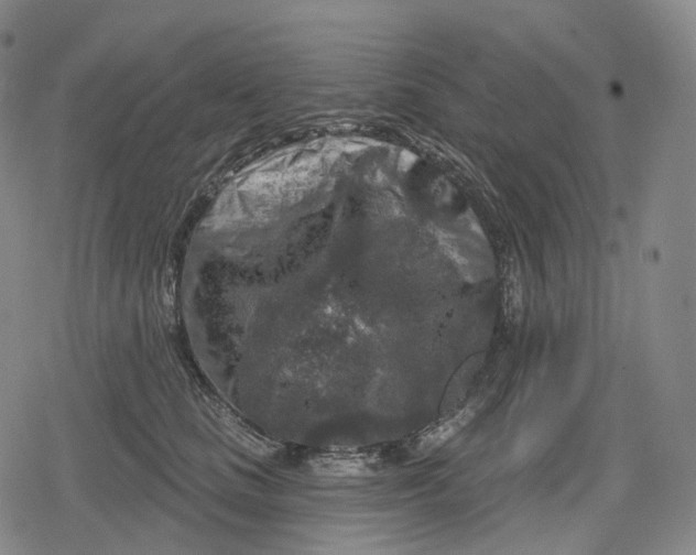 X0000079580661200612221432