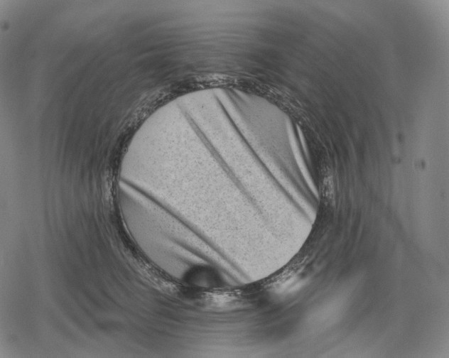 X0000079580662200612221432