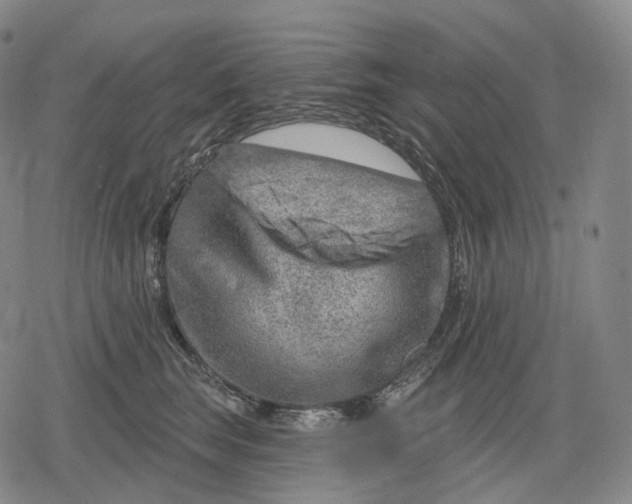 X0000079580663200612221432