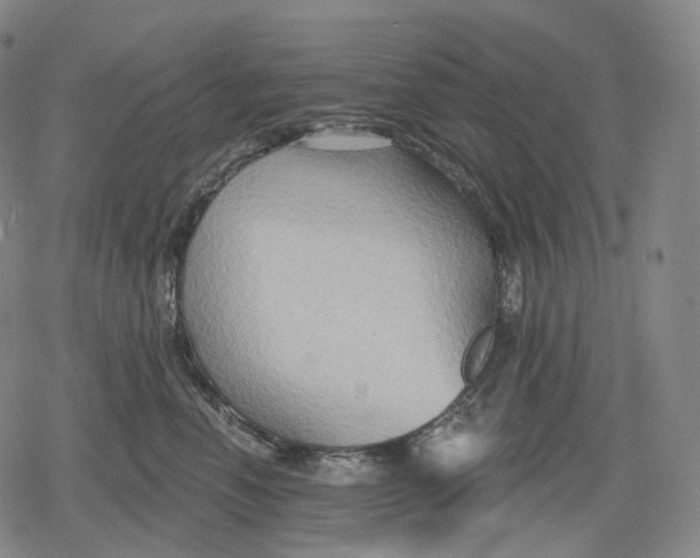 X0000079580666200612221432