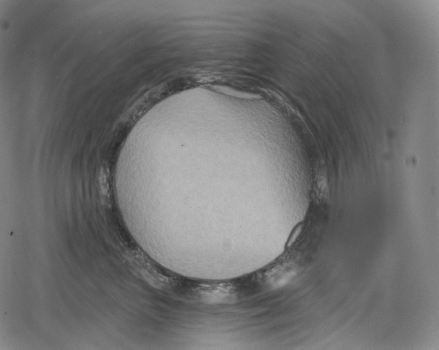 X0000079580667200612221432