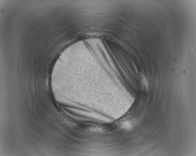 X0000079580668200612221432