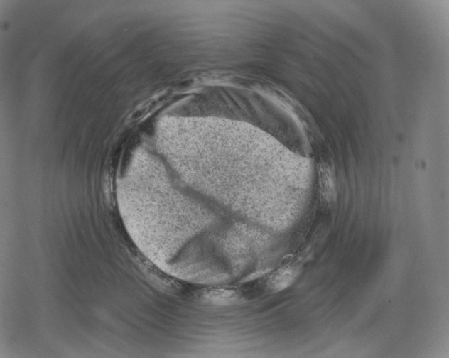 X0000079580669200612221432