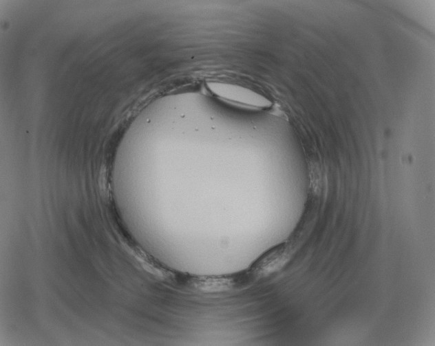 X0000079580670200612221432