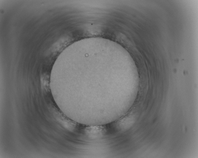 X0000079580672200612221432