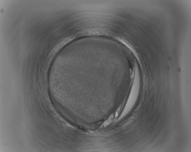 X0000079580673200612221431