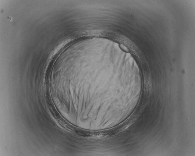 X0000079580674200612221431