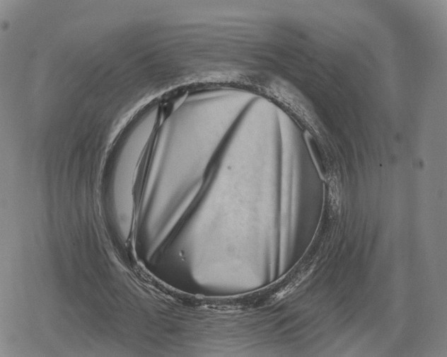 X0000079580676200612221431