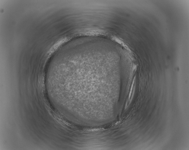 X0000079580679200612221431