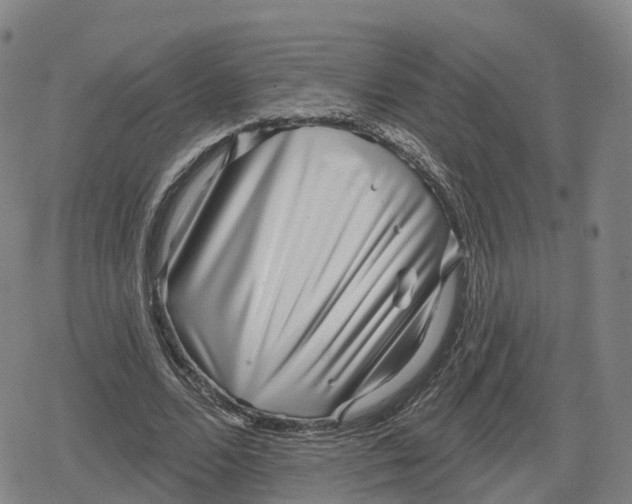 X0000079580680200612221431