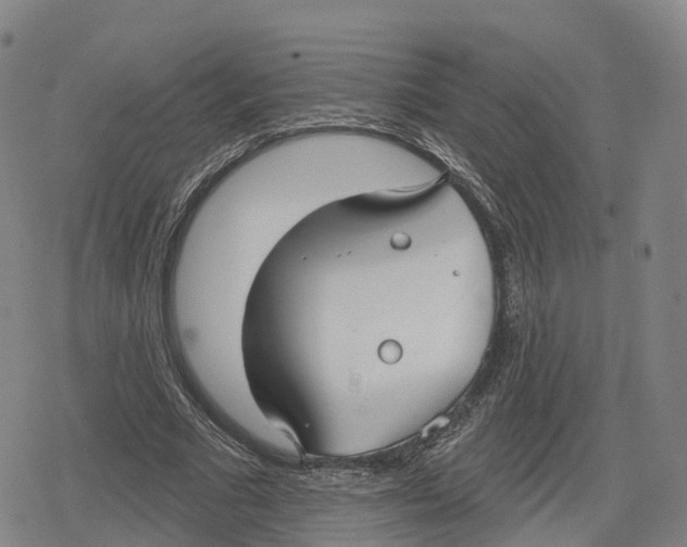 X0000079580681200612221431